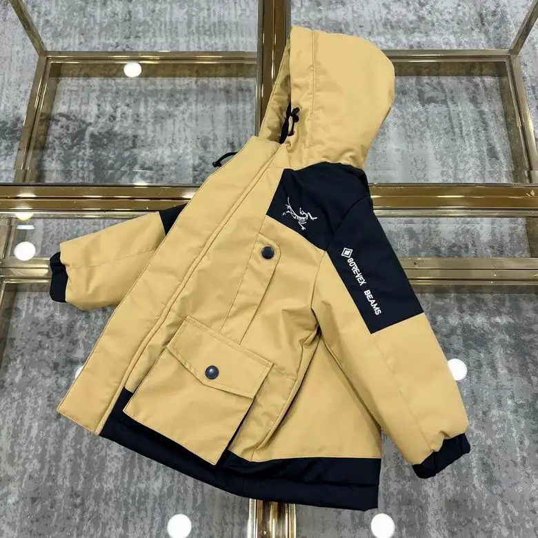 Arcteryx sz100-160  (11)